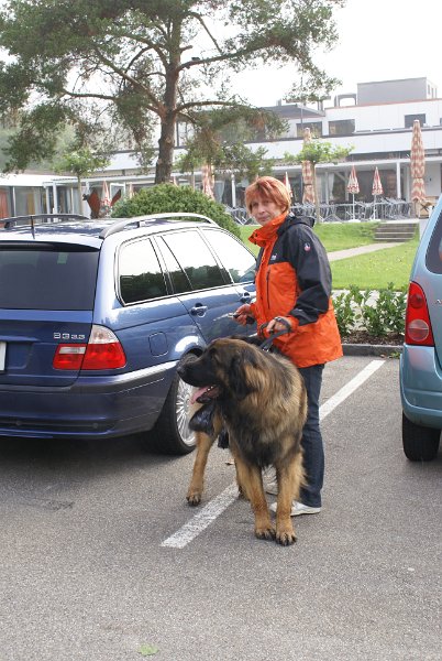 Nachzuchttreffen 08_08 019.jpg - Achilles